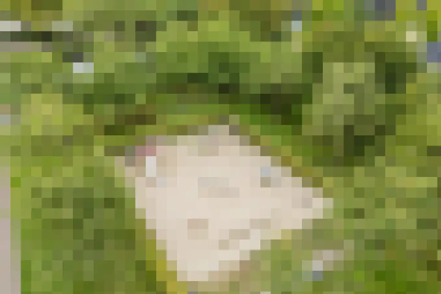 Klifrakplantsoen 6 De Meern thumbnail 68