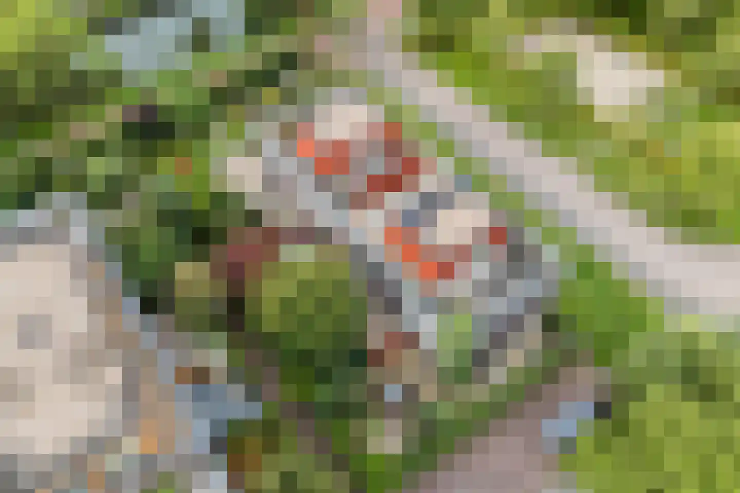 Klifrakplantsoen 6 De Meern thumbnail 69