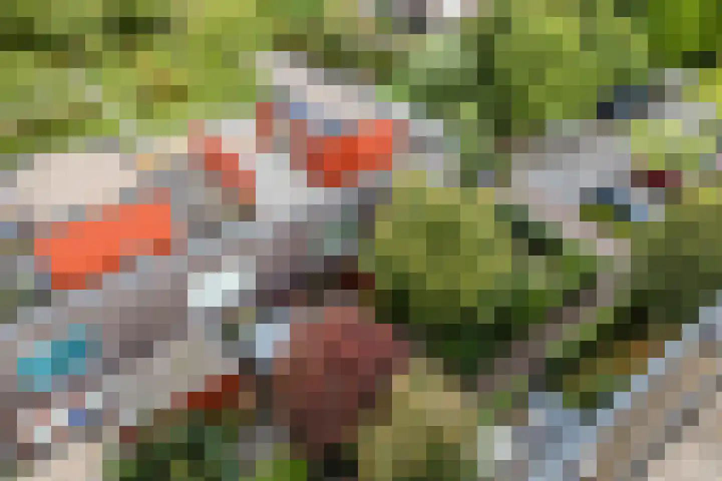 Klifrakplantsoen 6 De Meern thumbnail 70