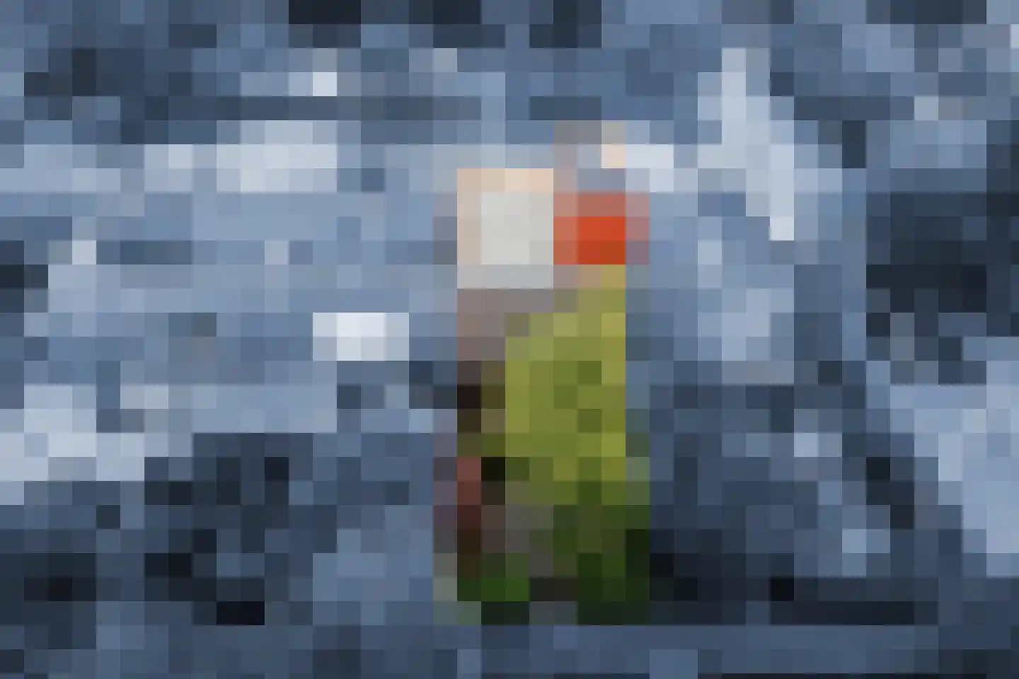 Klifrakplantsoen 6 De Meern thumbnail 71
