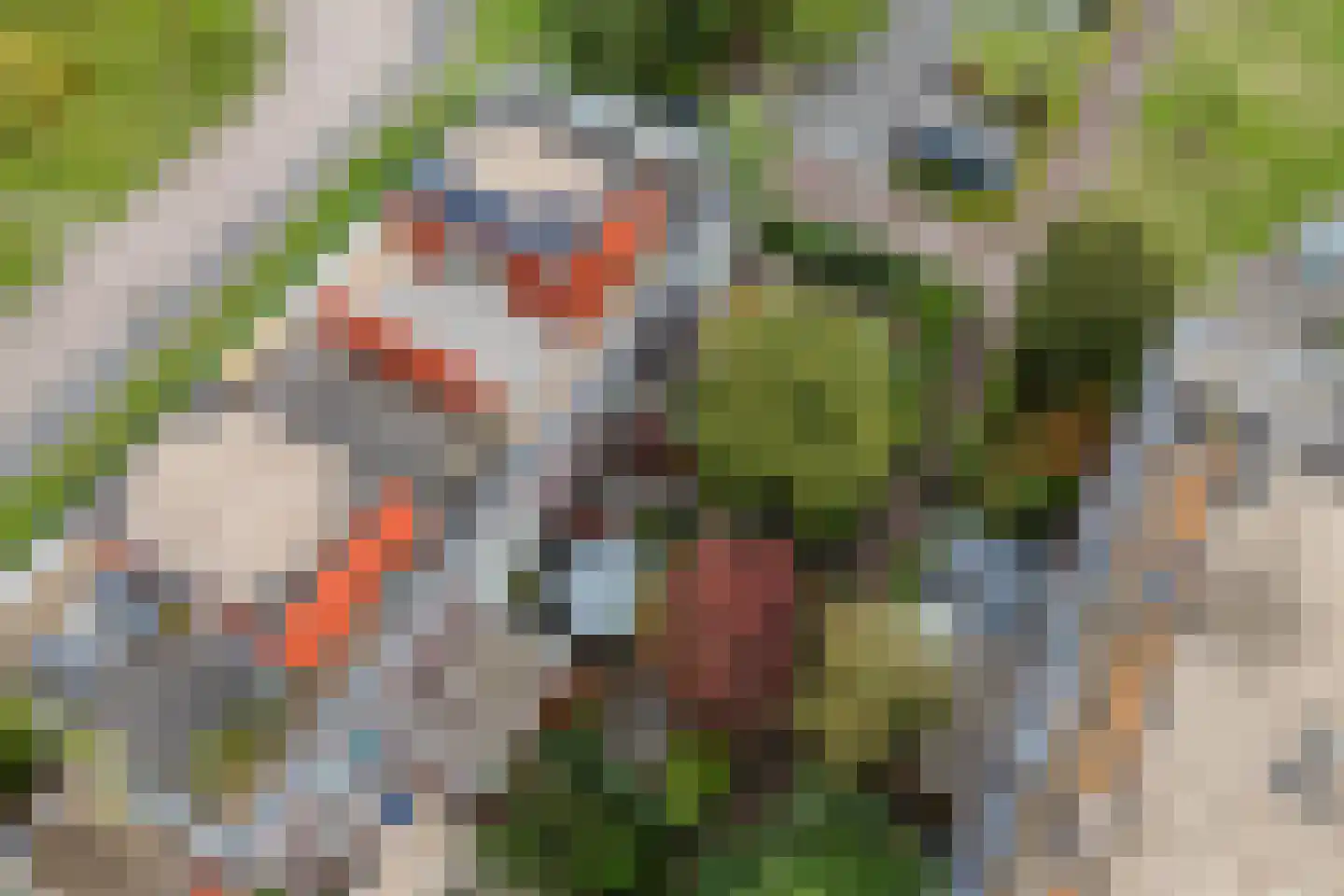 Klifrakplantsoen 6 De Meern thumbnail 73