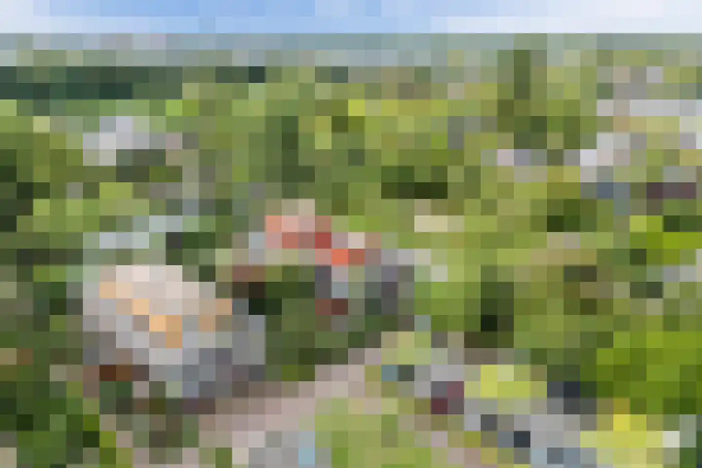 Klifrakplantsoen 6 De Meern thumbnail 74