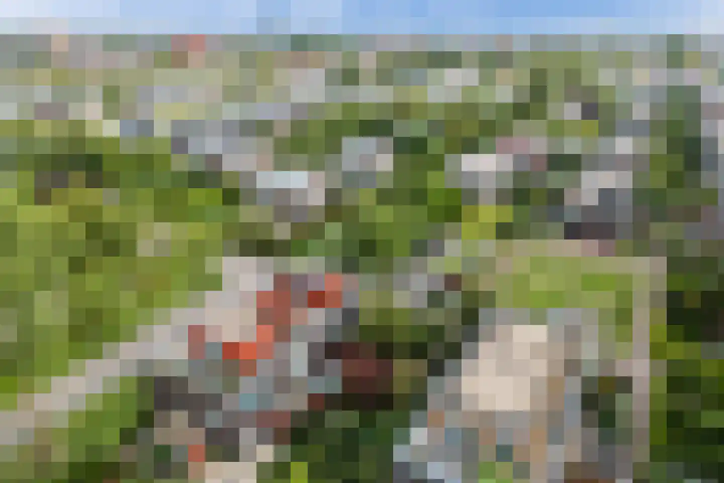 Klifrakplantsoen 6 De Meern thumbnail 75