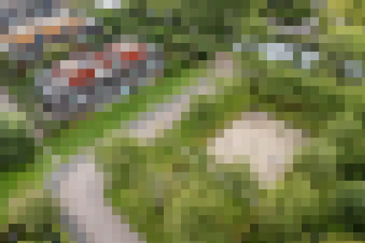 Klifrakplantsoen 6 De Meern thumbnail 78