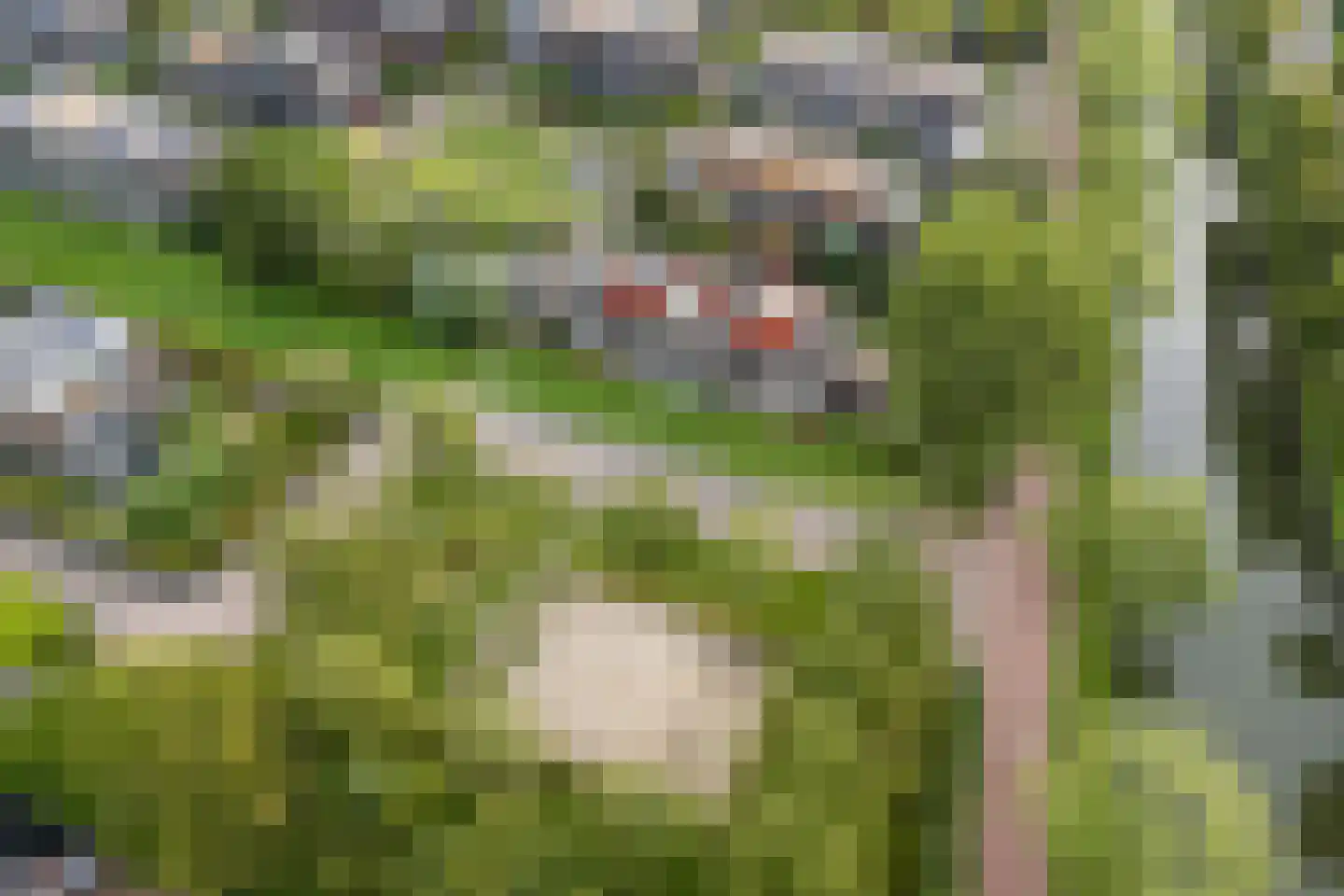Klifrakplantsoen 6 De Meern thumbnail 79
