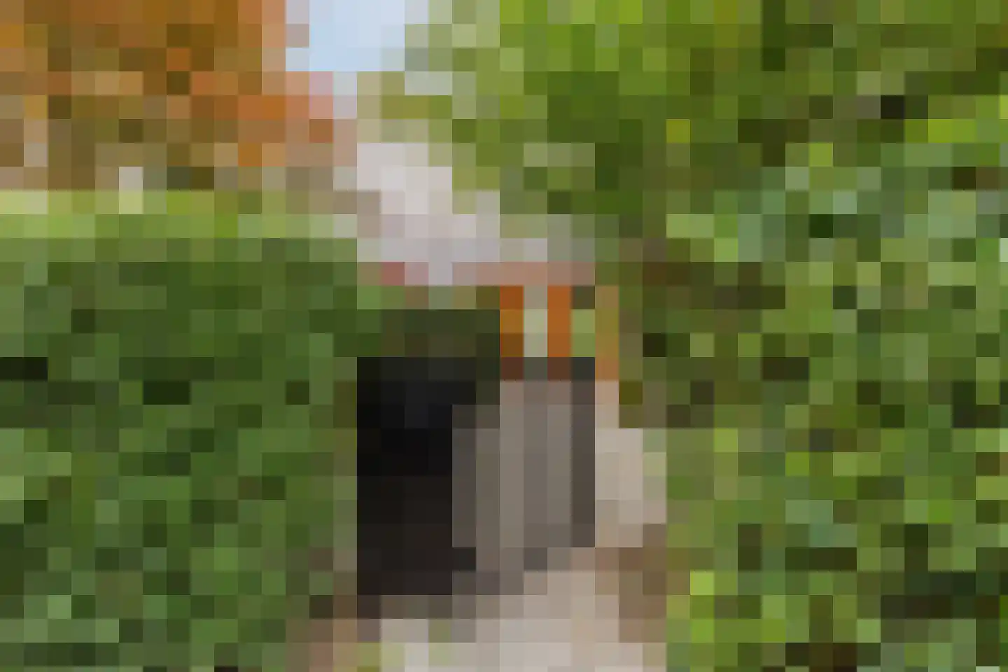 Klifrakplantsoen 6 De Meern thumbnail 8