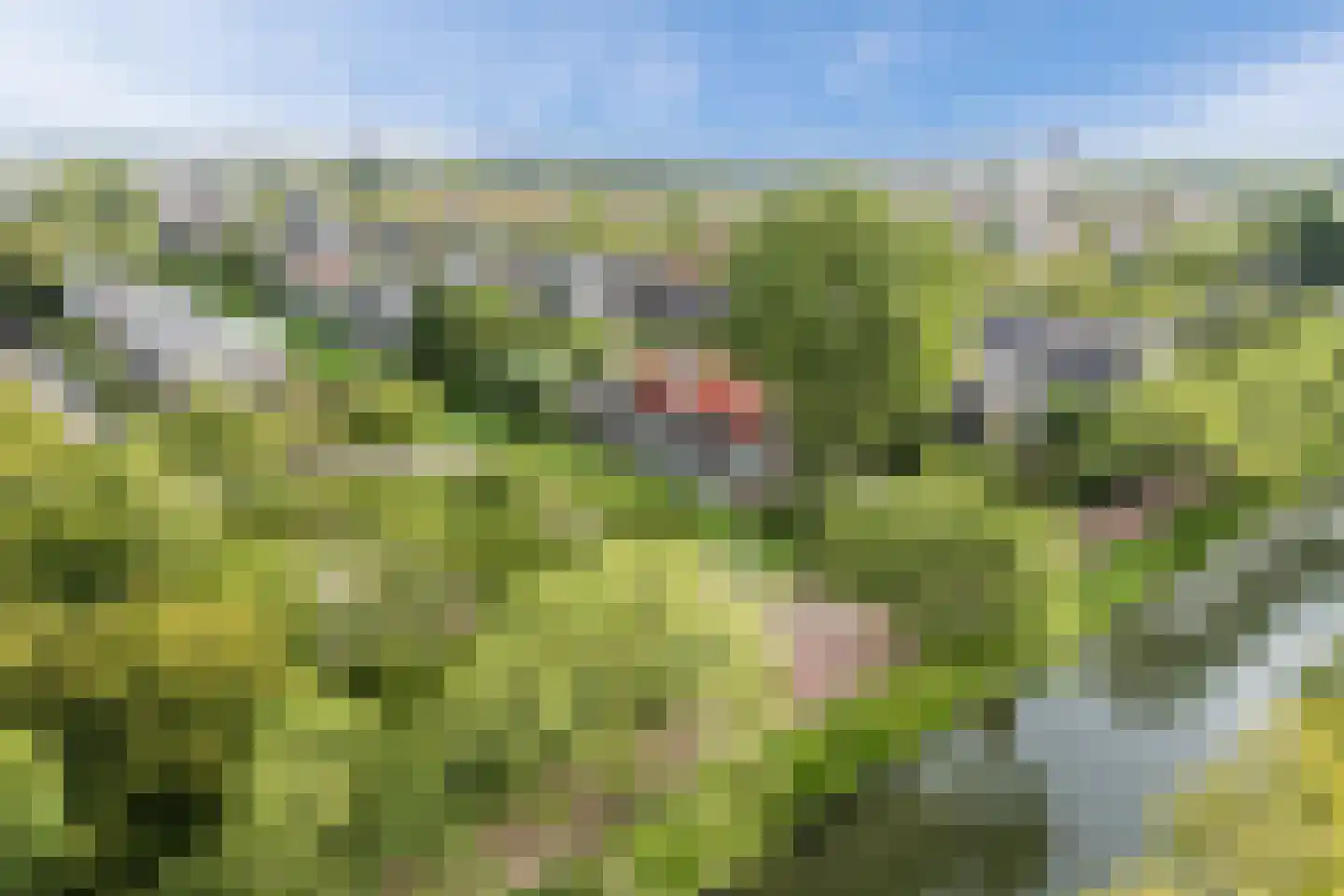 Klifrakplantsoen 6 De Meern thumbnail 80