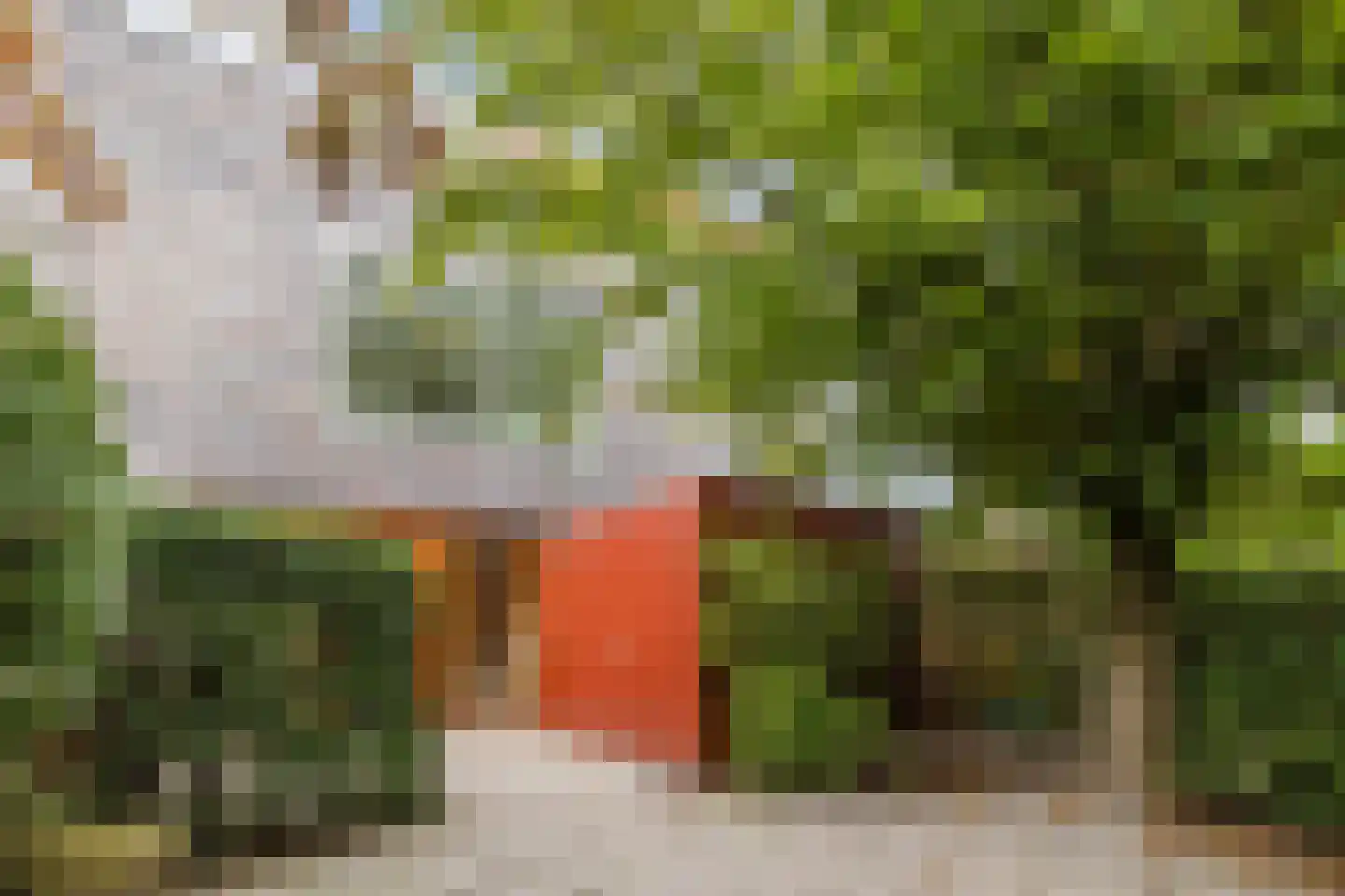 Klifrakplantsoen 6 De Meern thumbnail 9