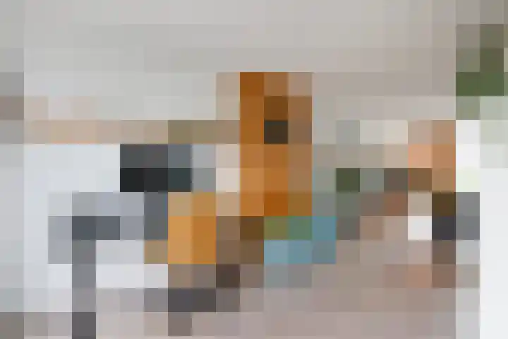 Klifrakplantsoen 60 Utrecht thumbnail 12
