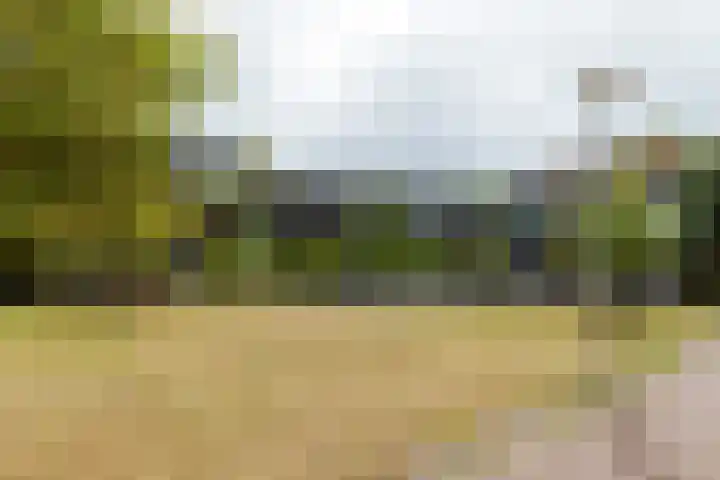 Klifrakplantsoen 60 Utrecht thumbnail 26