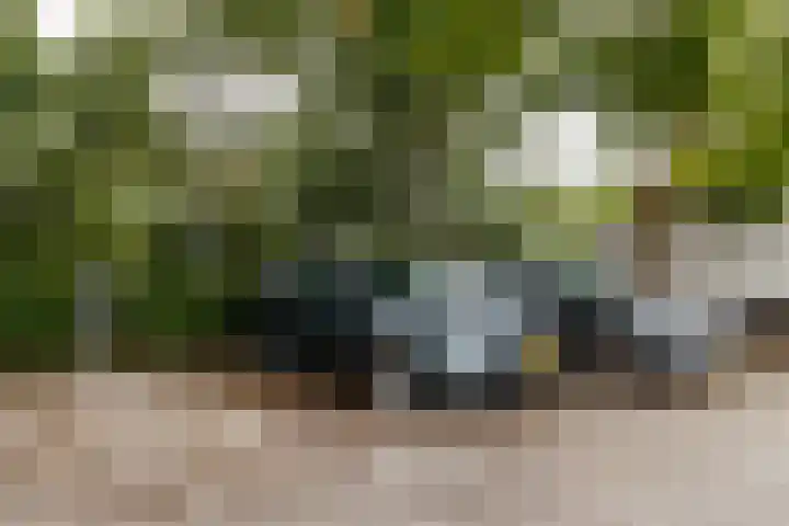 Klifrakplantsoen 60 Utrecht thumbnail 27