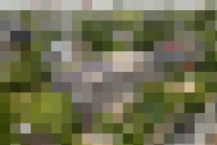Klifrakplantsoen 60 Utrecht thumbnail 29