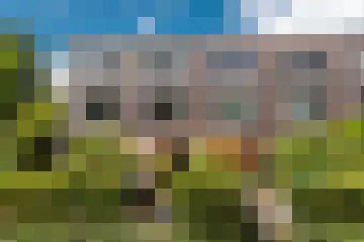 Klifrakplantsoen 60 Utrecht thumbnail 34