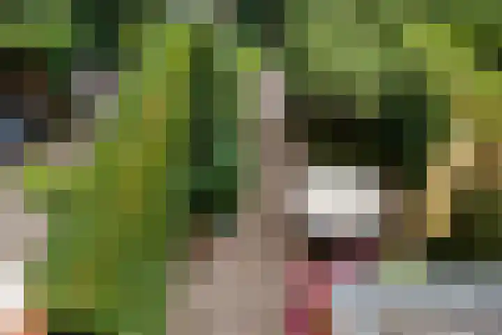 Klifrakplantsoen 60 Utrecht thumbnail 7