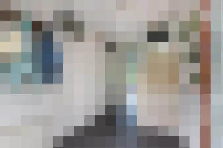 Klifrakplantsoen 60 Utrecht thumbnail 9