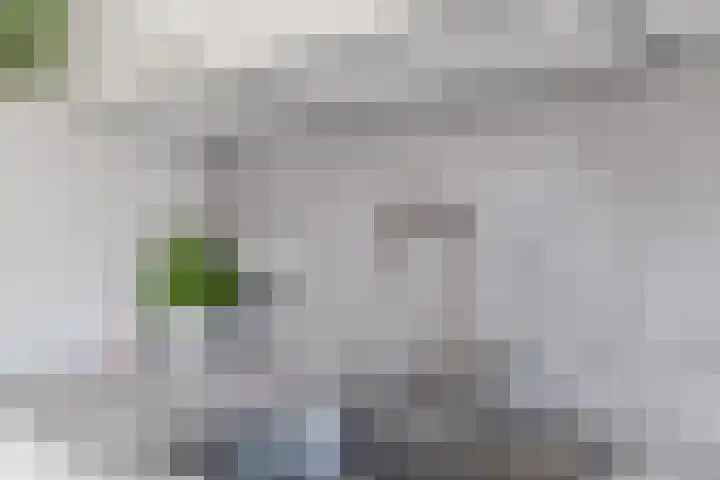 Klifrakplantsoen 87 Utrecht thumbnail 16