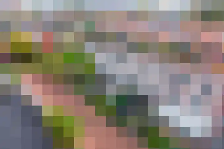 Klifrakplantsoen 87 Utrecht thumbnail 24