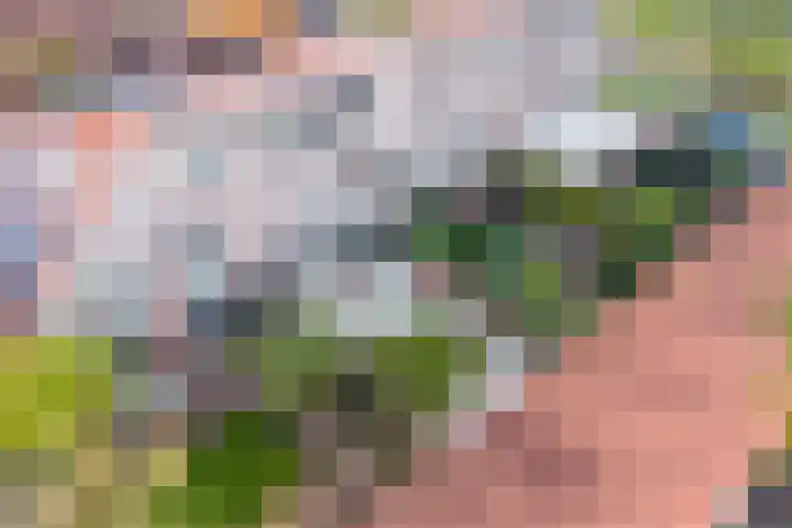 Klifrakplantsoen 87 Utrecht thumbnail 25