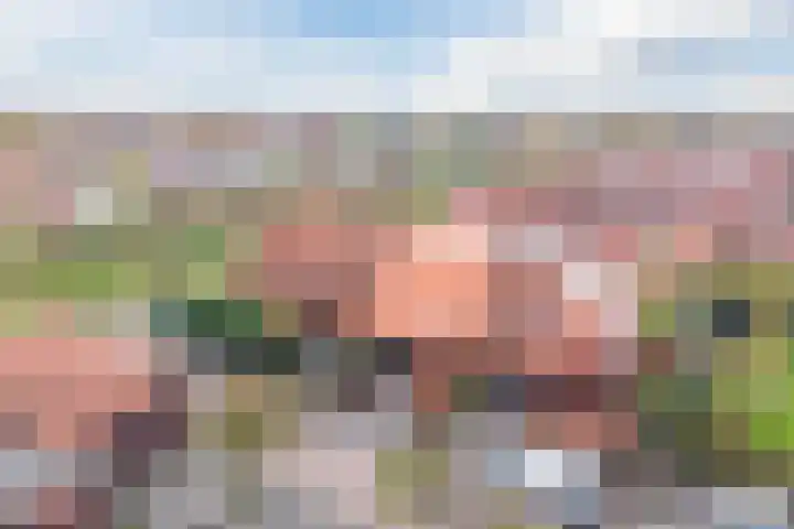 Klifrakplantsoen 87 Utrecht thumbnail 4