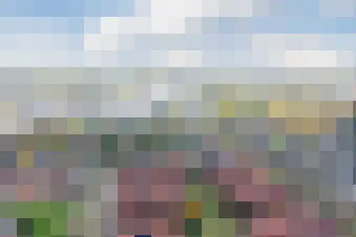 Klifrakplantsoen 87 Utrecht thumbnail 65