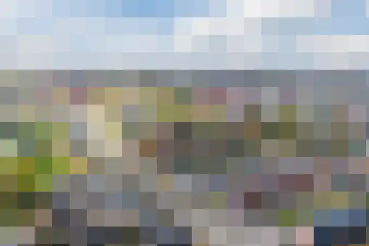 Klifrakplantsoen 87 Utrecht thumbnail 66
