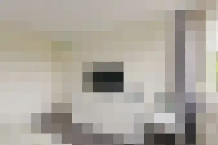 Klijne Meer 20 Vinkeveen thumbnail 22