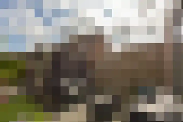 Klijne Meer 20 Vinkeveen thumbnail 29