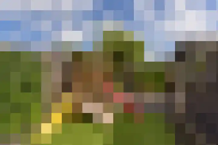 Klijne Meer 20 Vinkeveen thumbnail 30