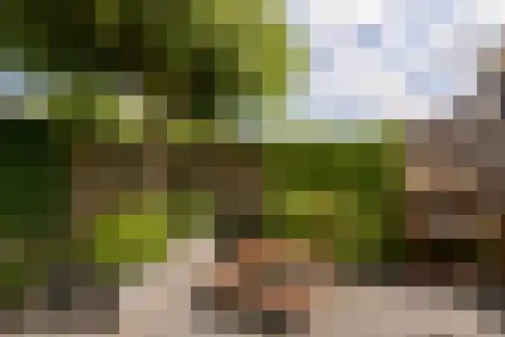 Klijne Meer 20 Vinkeveen thumbnail 31