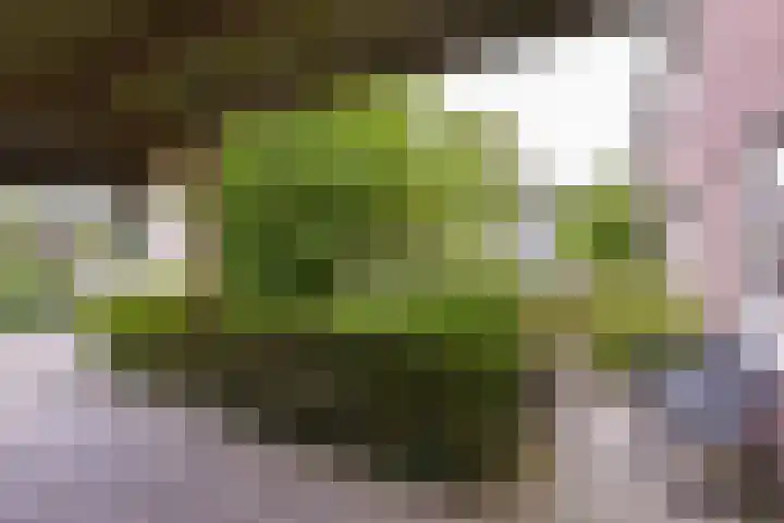 Klijne Meer 20 Vinkeveen thumbnail 32