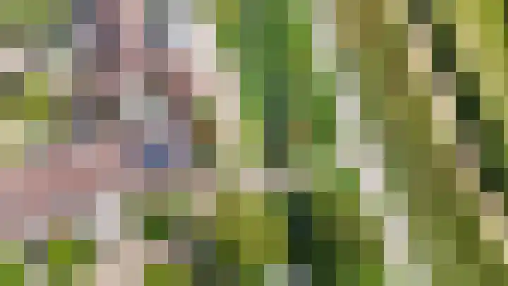 Klijne Meer 20 Vinkeveen thumbnail 34