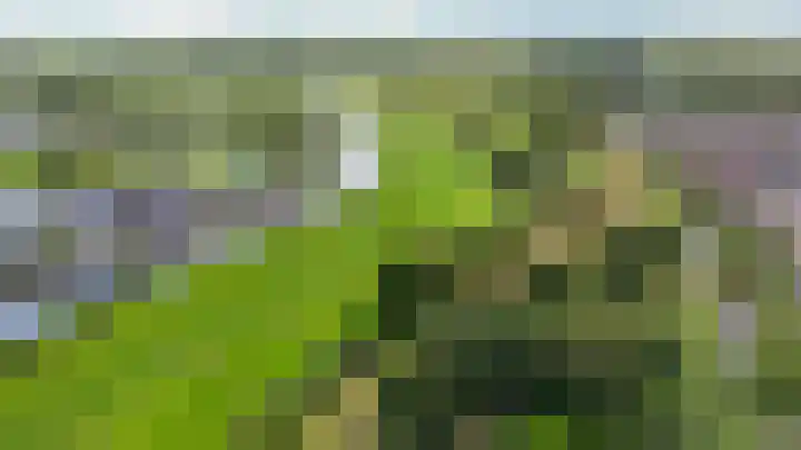 Klijne Meer 20 Vinkeveen thumbnail 36