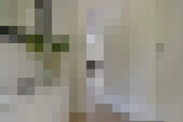 Klijne Meer 20 Vinkeveen thumbnail 7