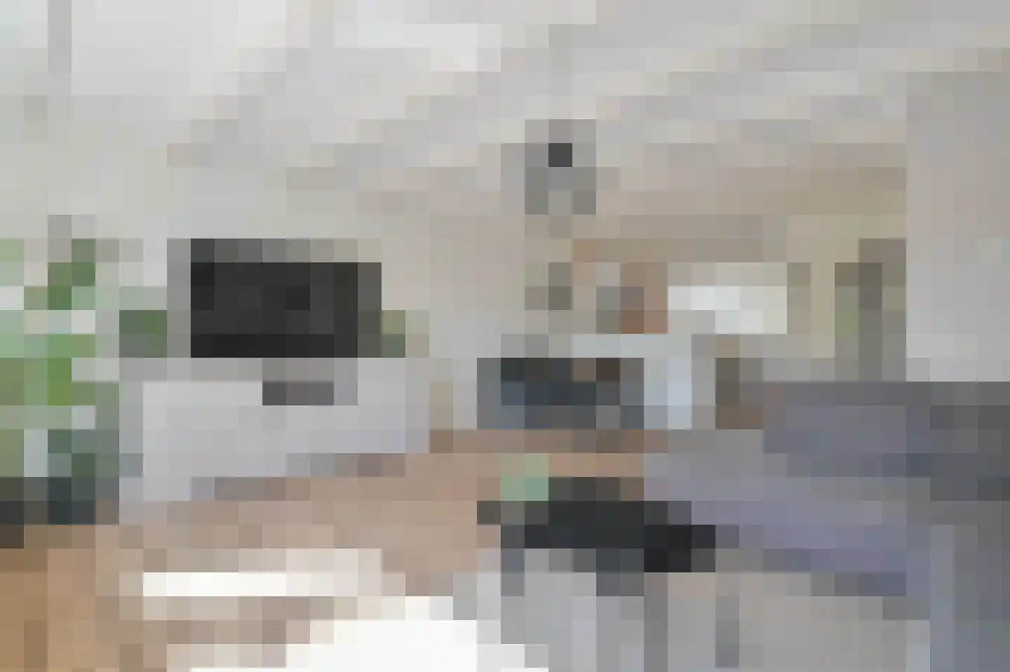 Klijne Meer 61 Vinkeveen thumbnail 11