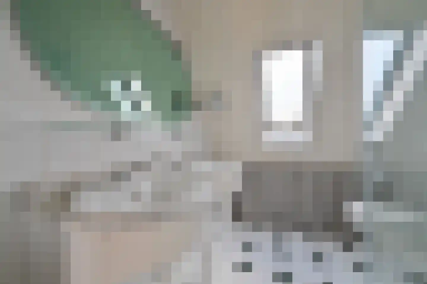 Klijne Meer 61 Vinkeveen thumbnail 19