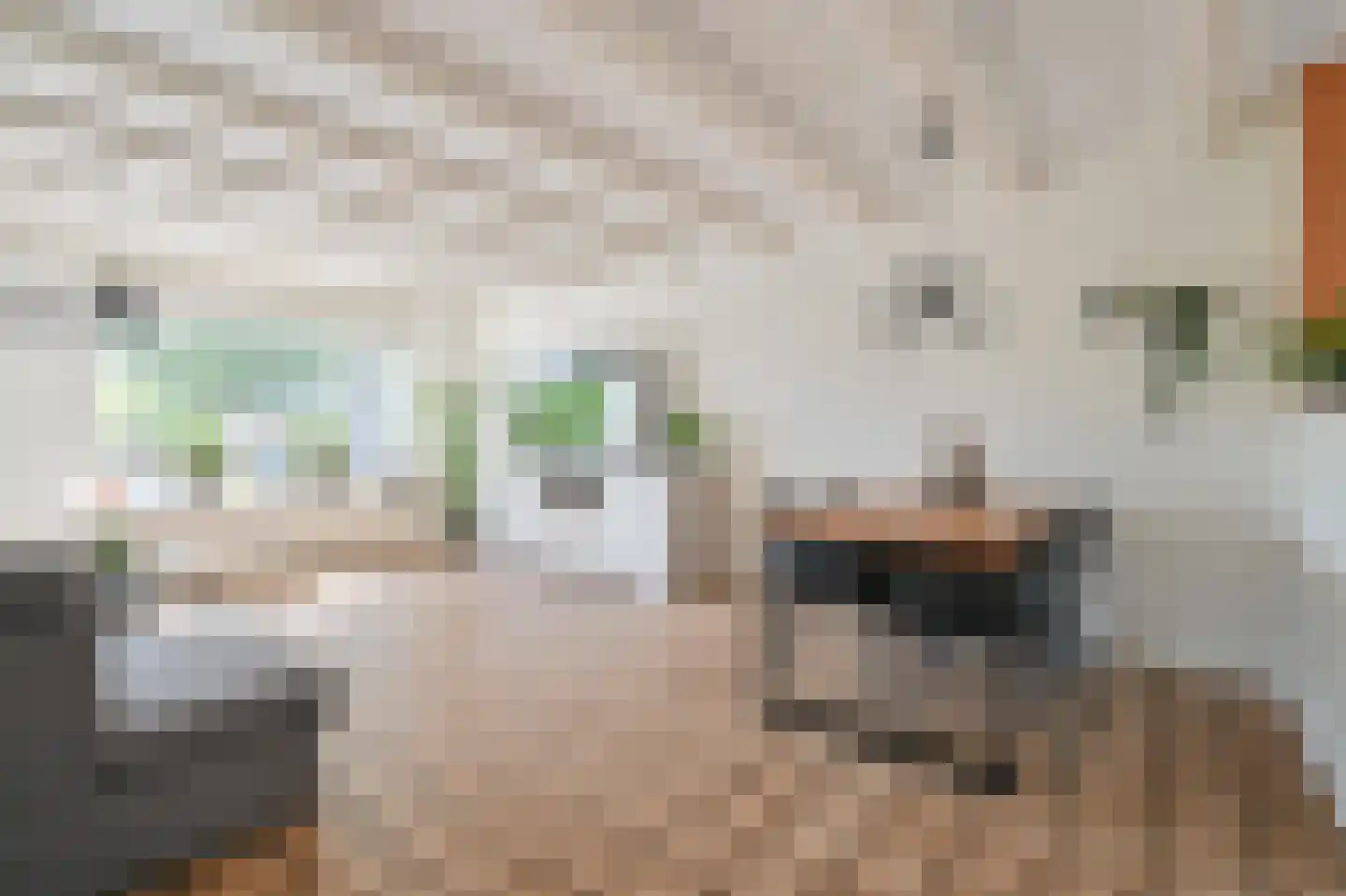 Klijne Meer 61 Vinkeveen thumbnail 9