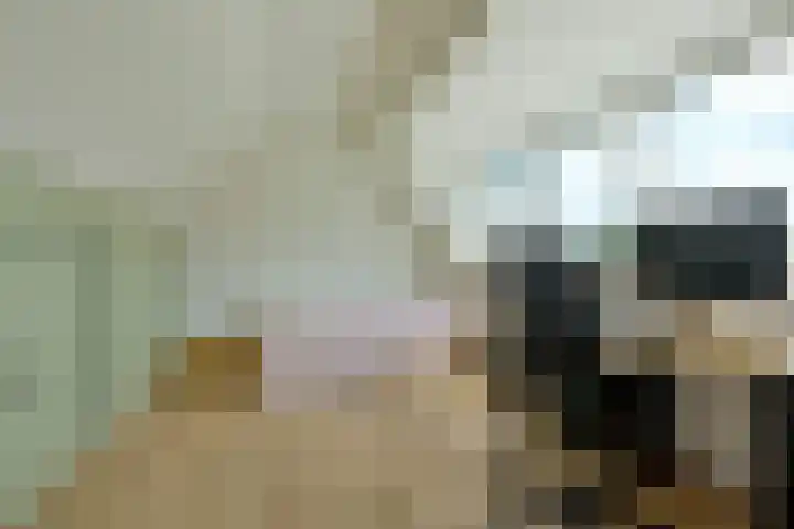 Klijne Meer 81 Vinkeveen thumbnail 16