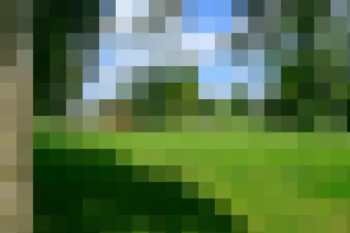 Klijne Meer 81 Vinkeveen thumbnail 23