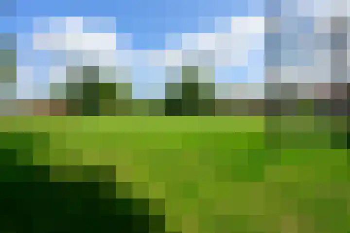 Klijne Meer 81 Vinkeveen thumbnail 24