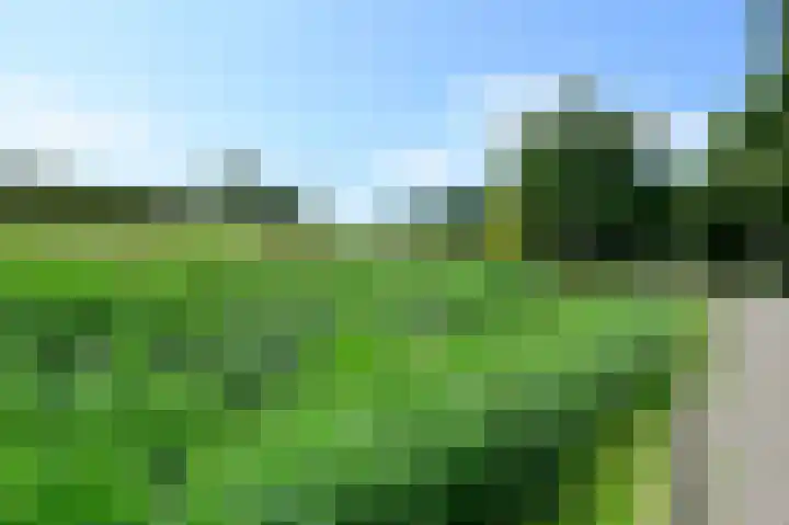 Klijne Meer 81 Vinkeveen thumbnail 25