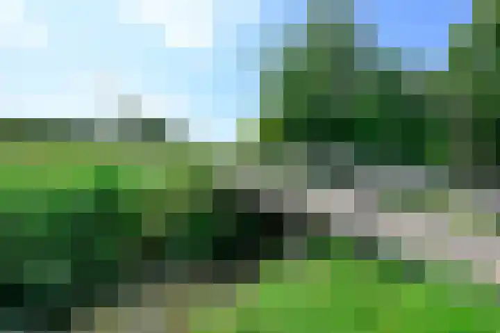 Klijne Meer 81 Vinkeveen thumbnail 26