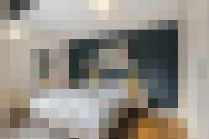 Klijnsmastraat 10 Hoogeveen thumbnail 22