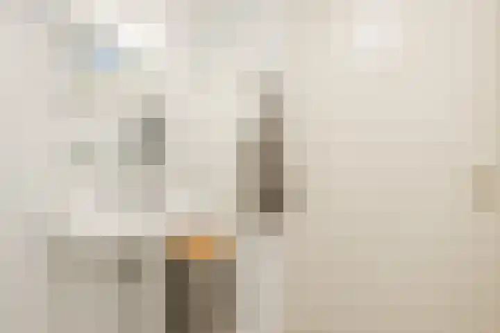 Klijnsmastraat 10 Hoogeveen thumbnail 33