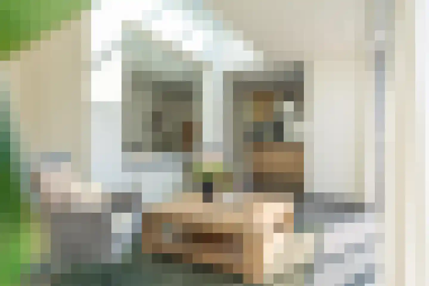 Klimheuvel 10 Best thumbnail 27