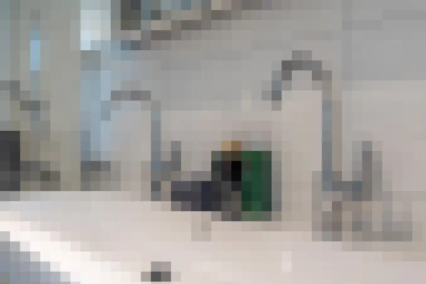 Klimheuvel 10 Best thumbnail 33