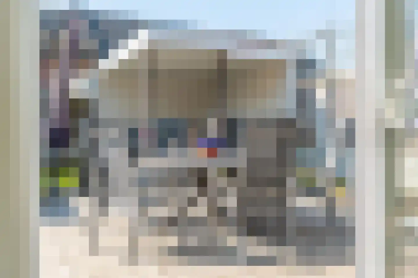 Klimheuvel 10 Best thumbnail 47