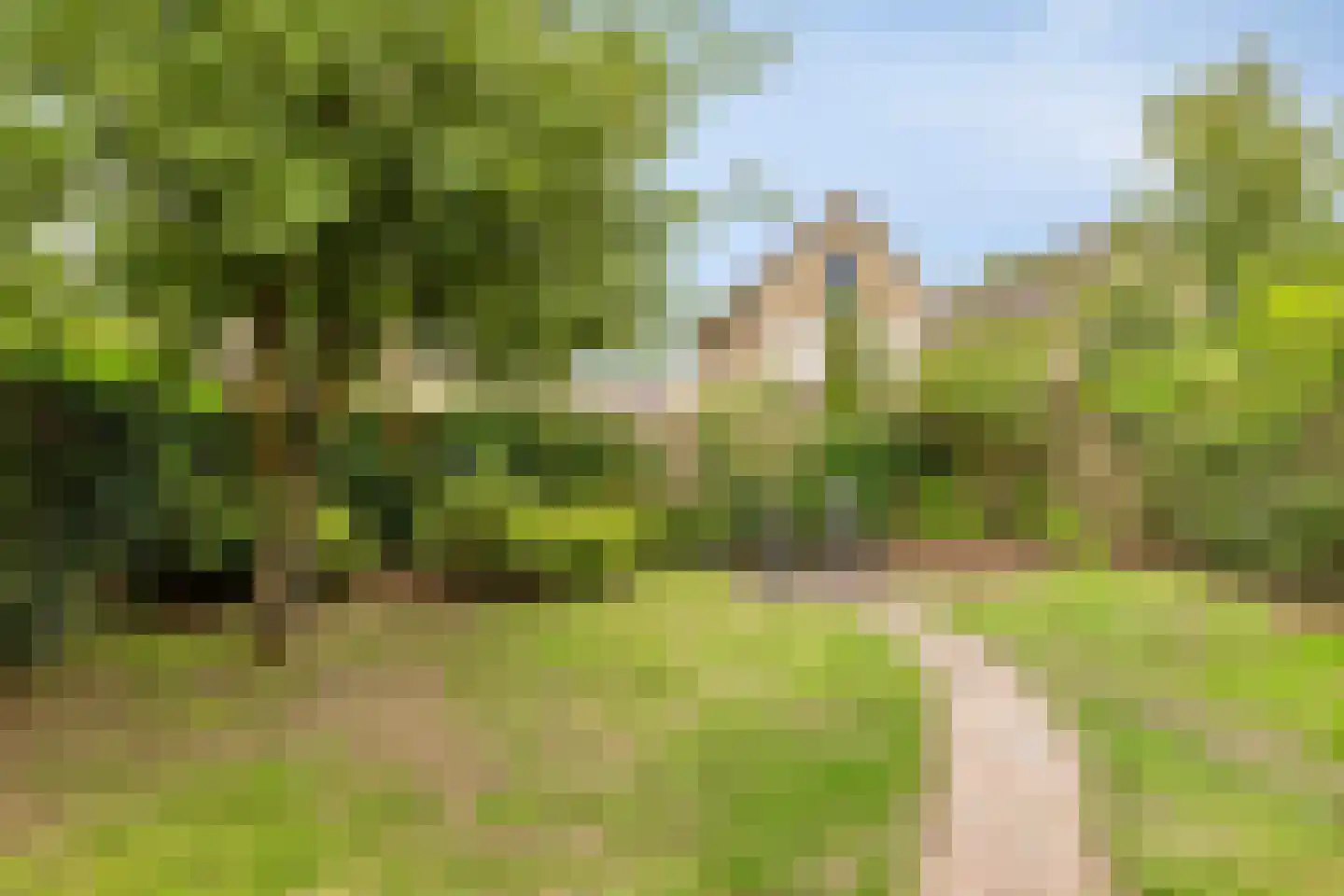 Klimheuvel 13 Best thumbnail 32