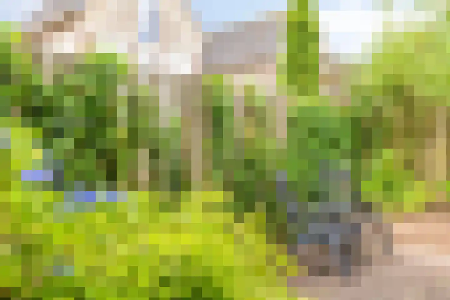 Klimheuvel 13 Best thumbnail 34