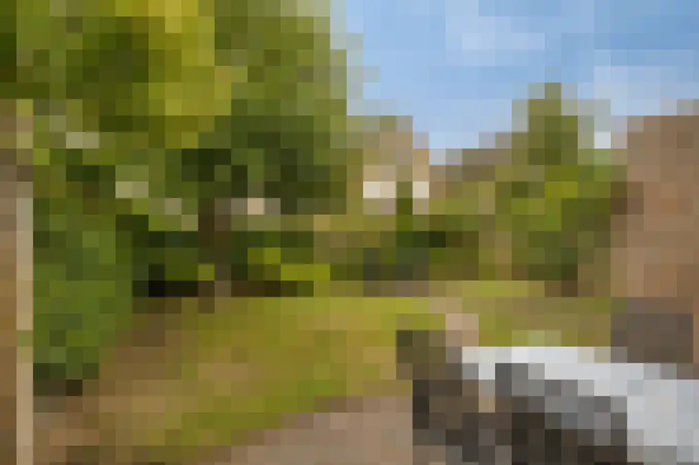 Klimheuvel 13 Best thumbnail 4