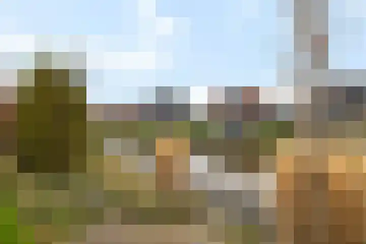 Klimme 14 Leeuwarden thumbnail 34